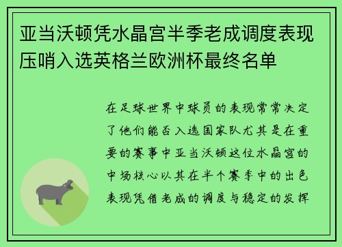亚当沃顿凭水晶宫半季老成调度表现压哨入选英格兰欧洲杯最终名单 亚当沃顿凭水晶宫半季老成调度表现压哨入选英格兰欧洲杯最终名单
